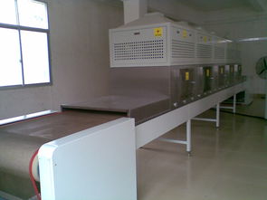 廣東福滔 微波牛肉干燥殺菌機(jī)廠家直銷(xiāo)，以卓越品質(zhì)引領(lǐng)行業(yè)標(biāo)準(zhǔn)